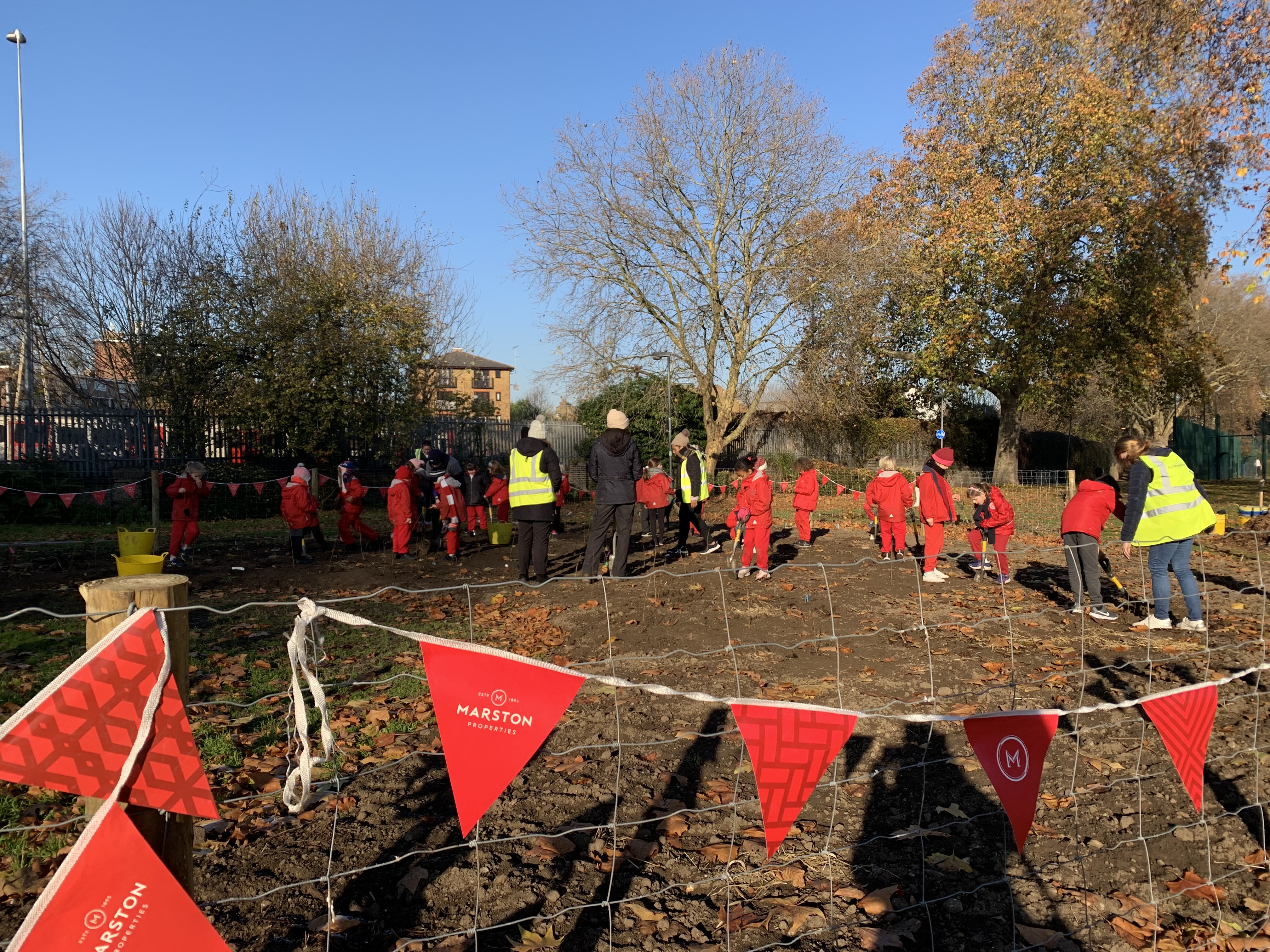 Tiny Forest children