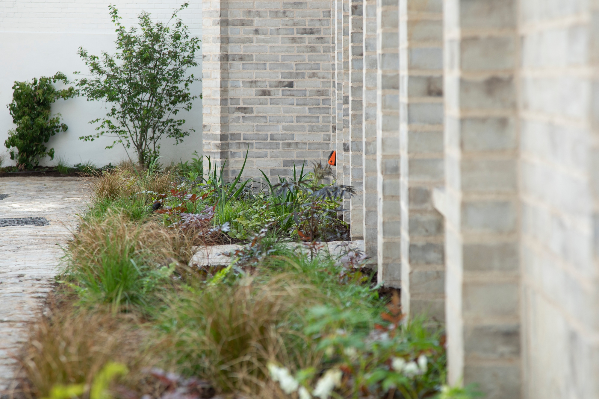 Crosland mews planting